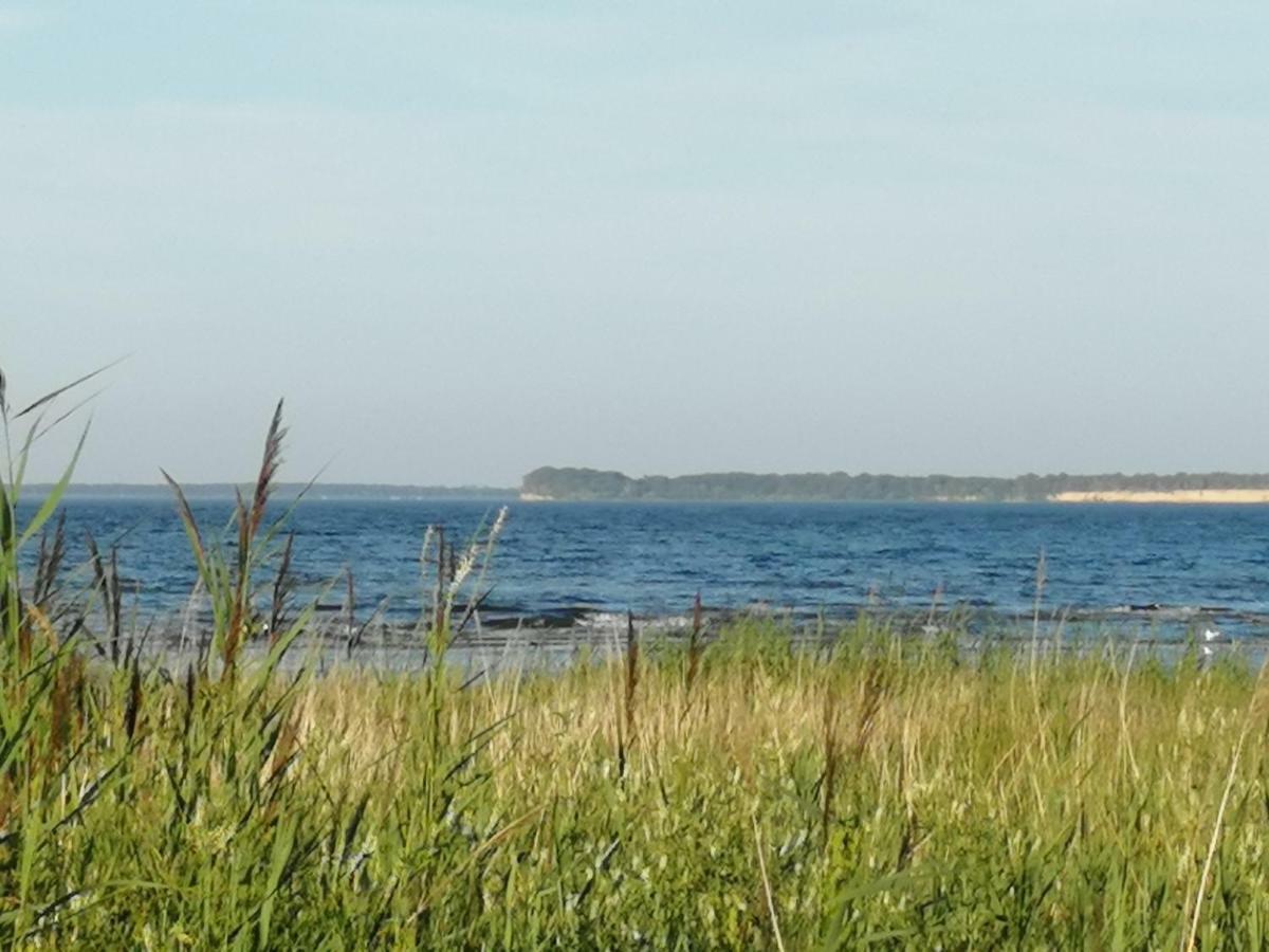 Pension Landidylle Wohlenhagen 외부 사진